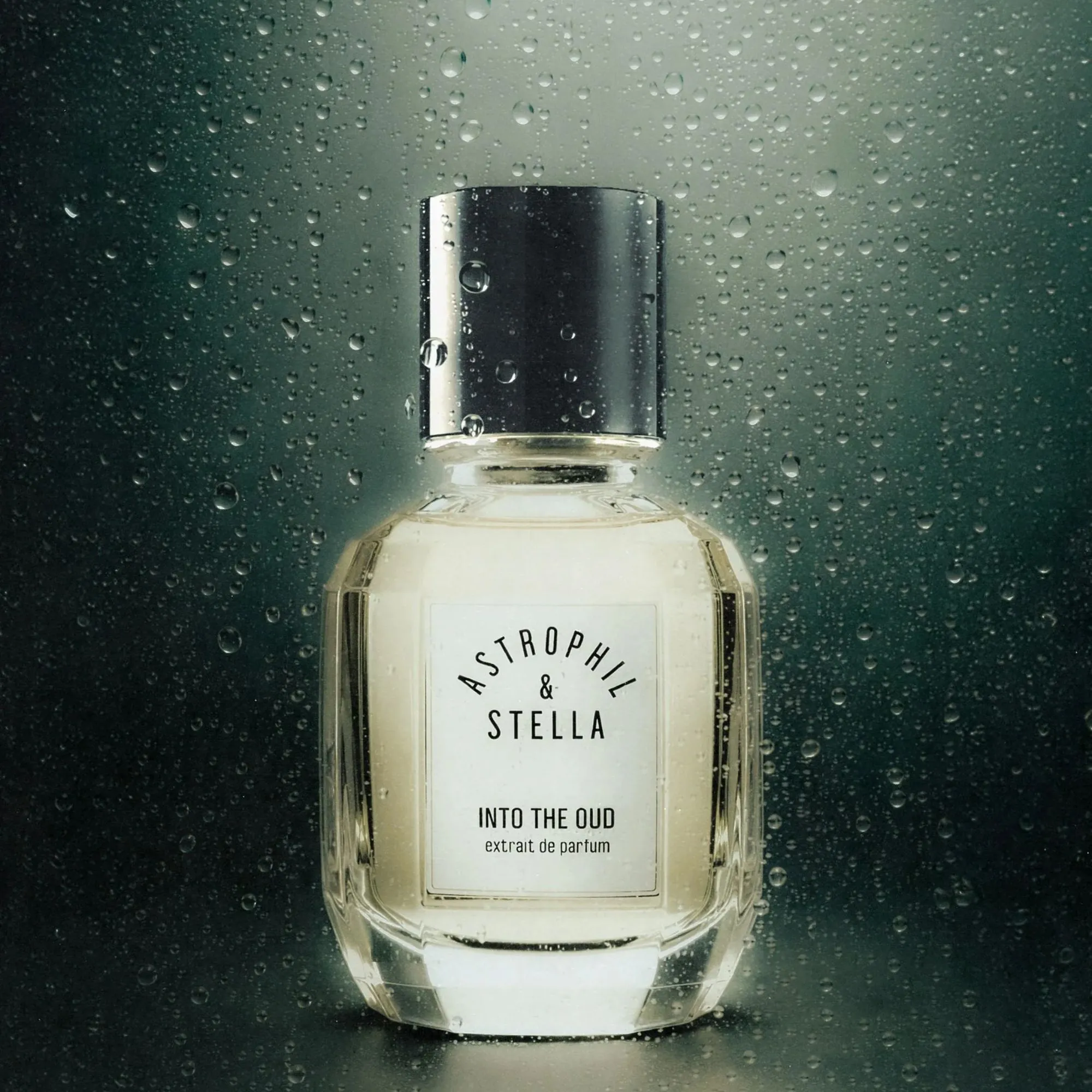 Into The Oud Extrait de Parfum